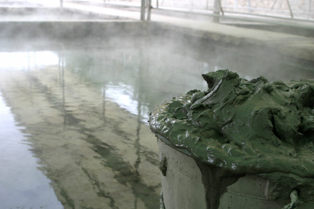 mud Hotel Venezia Terme